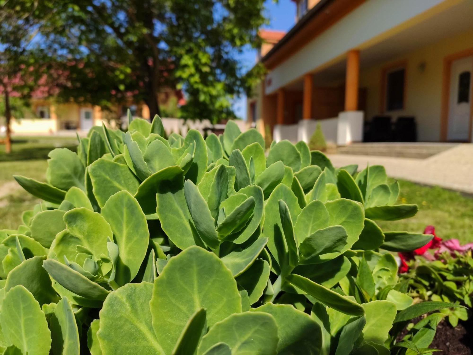 Ubytovanie Liska Radava Esterno foto
