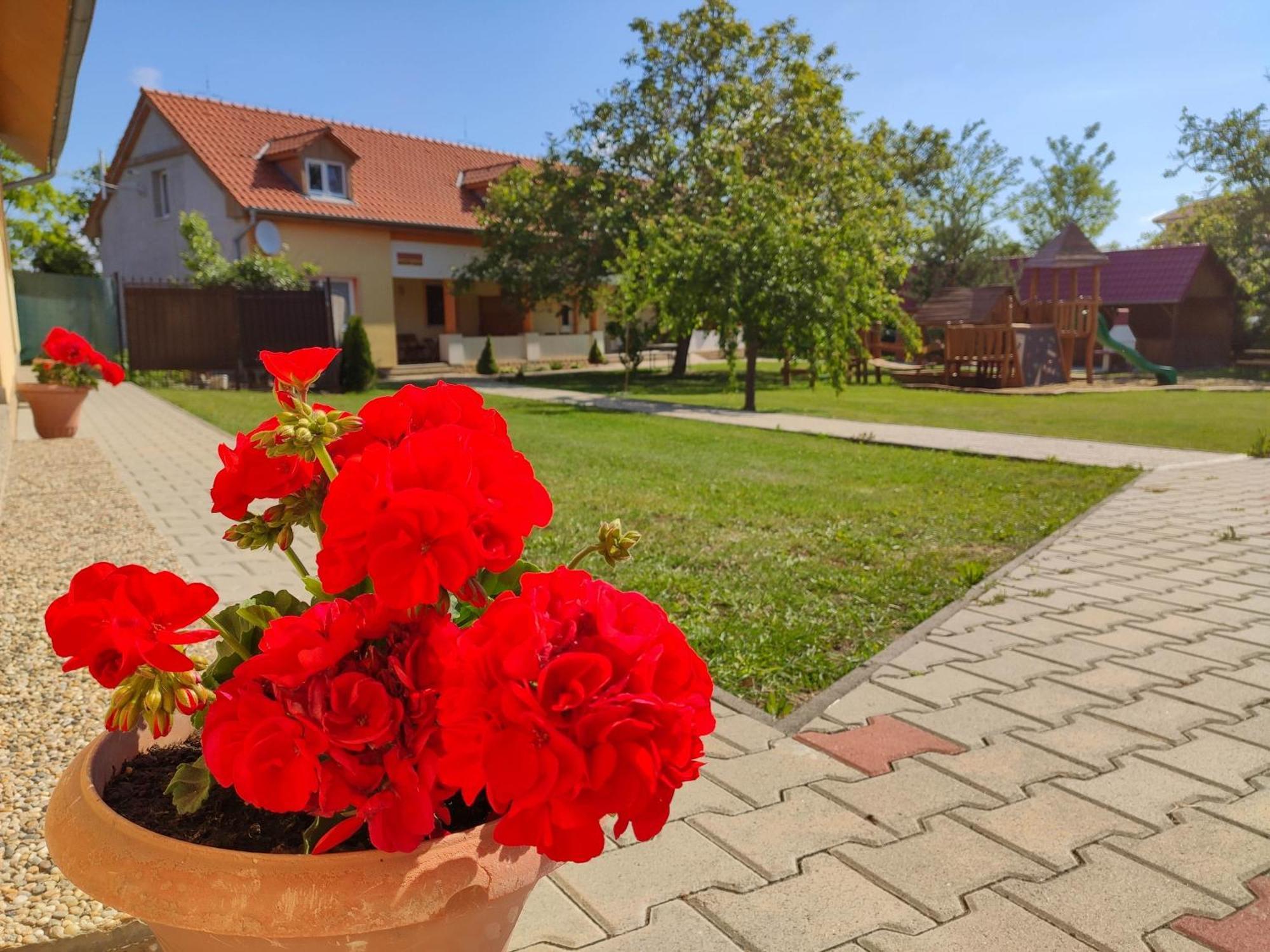 Ubytovanie Liska Radava Esterno foto